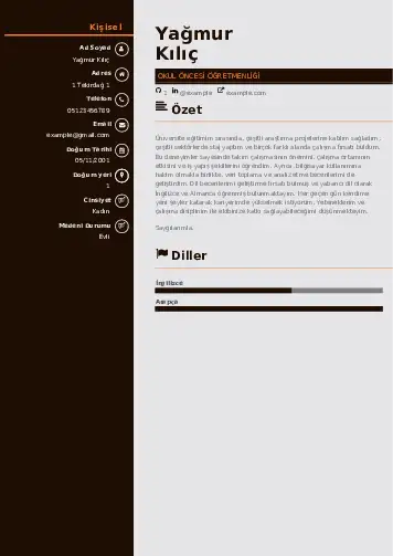 Okul Öncesi Öğretmeni Öğretmenliği Cv Örnekleri cv indir